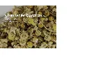 Chamomile Flowers whole.webp