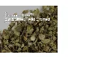 chaparral leaf cut sifted.webp