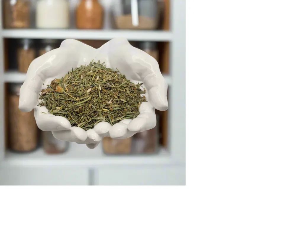 navajo tea cota thelesperma.webp