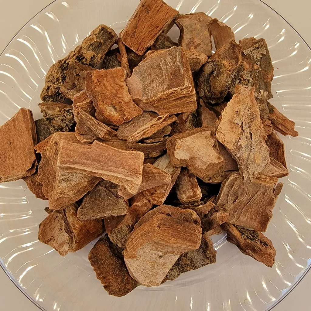 Cuachalalate_healingifts_herbs.webp