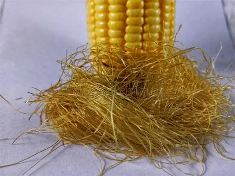 cornsilk-1.webp