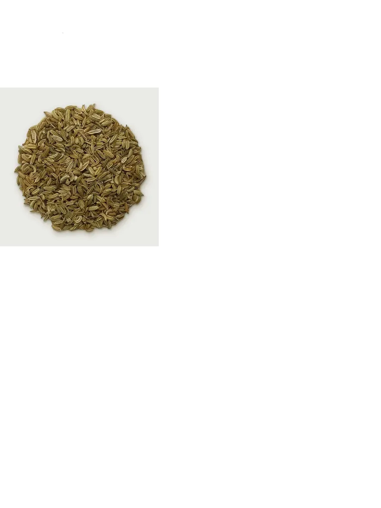fennel seed Hinojo.webp