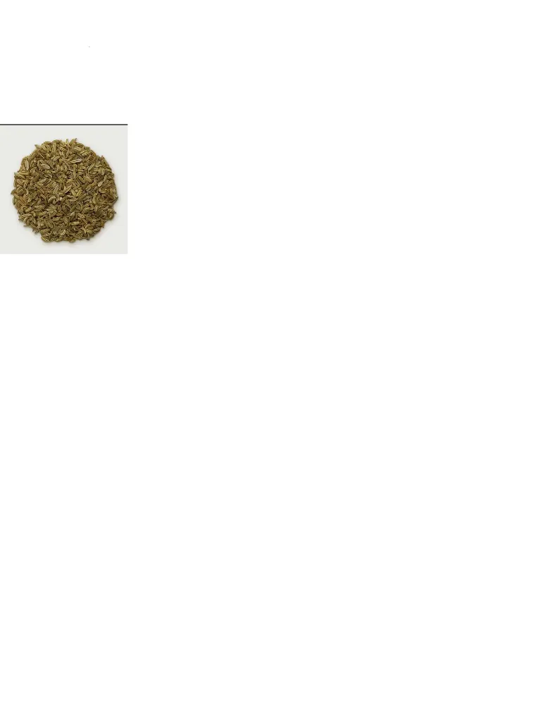 fennel seed Hinojo large.webp