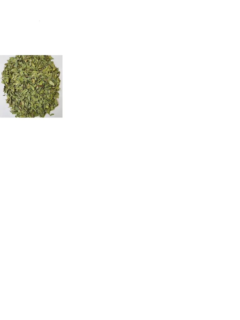 senna leaves.webp