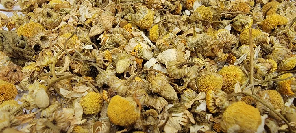 chamomile flower dried.webp