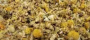chamomile flower dried.webp