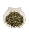 Oregano_leaves mexico healingifts.webp