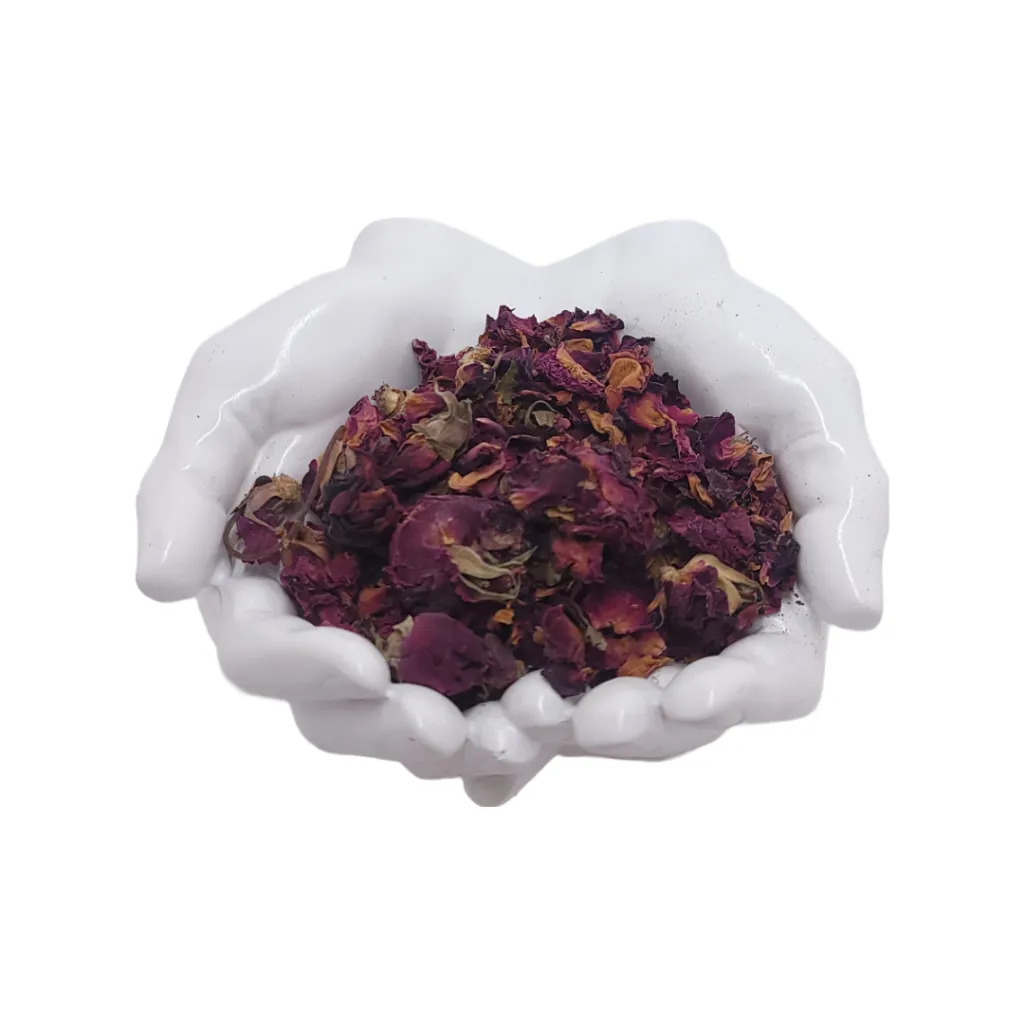 Rosa_Castilla_rose_petals.webp