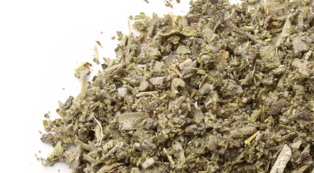 sage-leaf-cs_Healingifts.webp