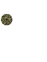 lemon balm melissa dried leaves stems  healingifts-1.webp
