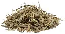 hierba_del_sapo_healingifts.webp
