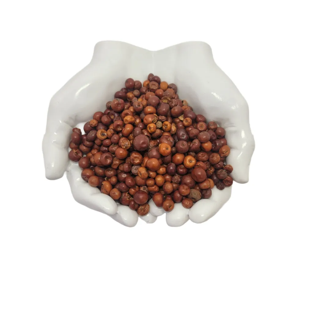 Uva_Ursi_berries.webp