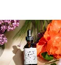 cortisol clean-up.webp