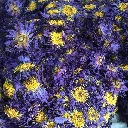 s-l1600.webp