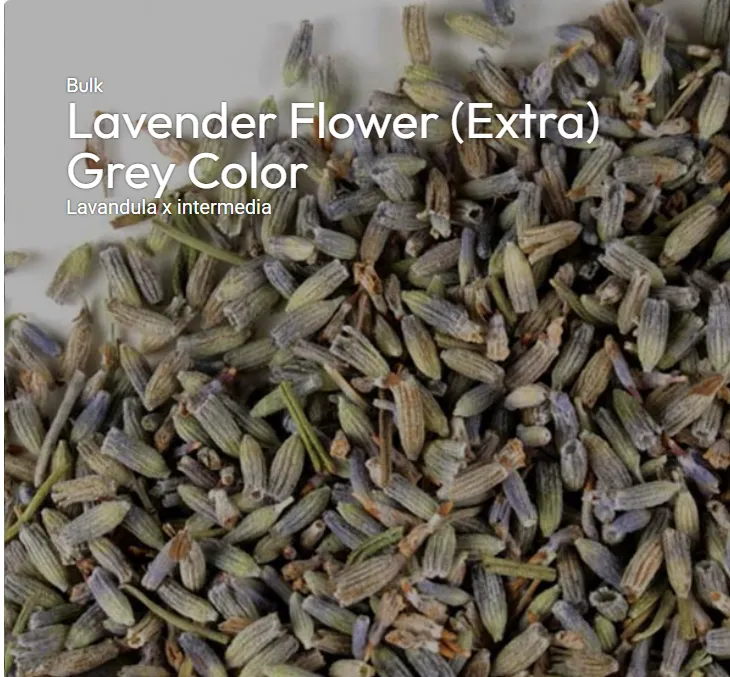 Lavender_flower_extra_grey.webp