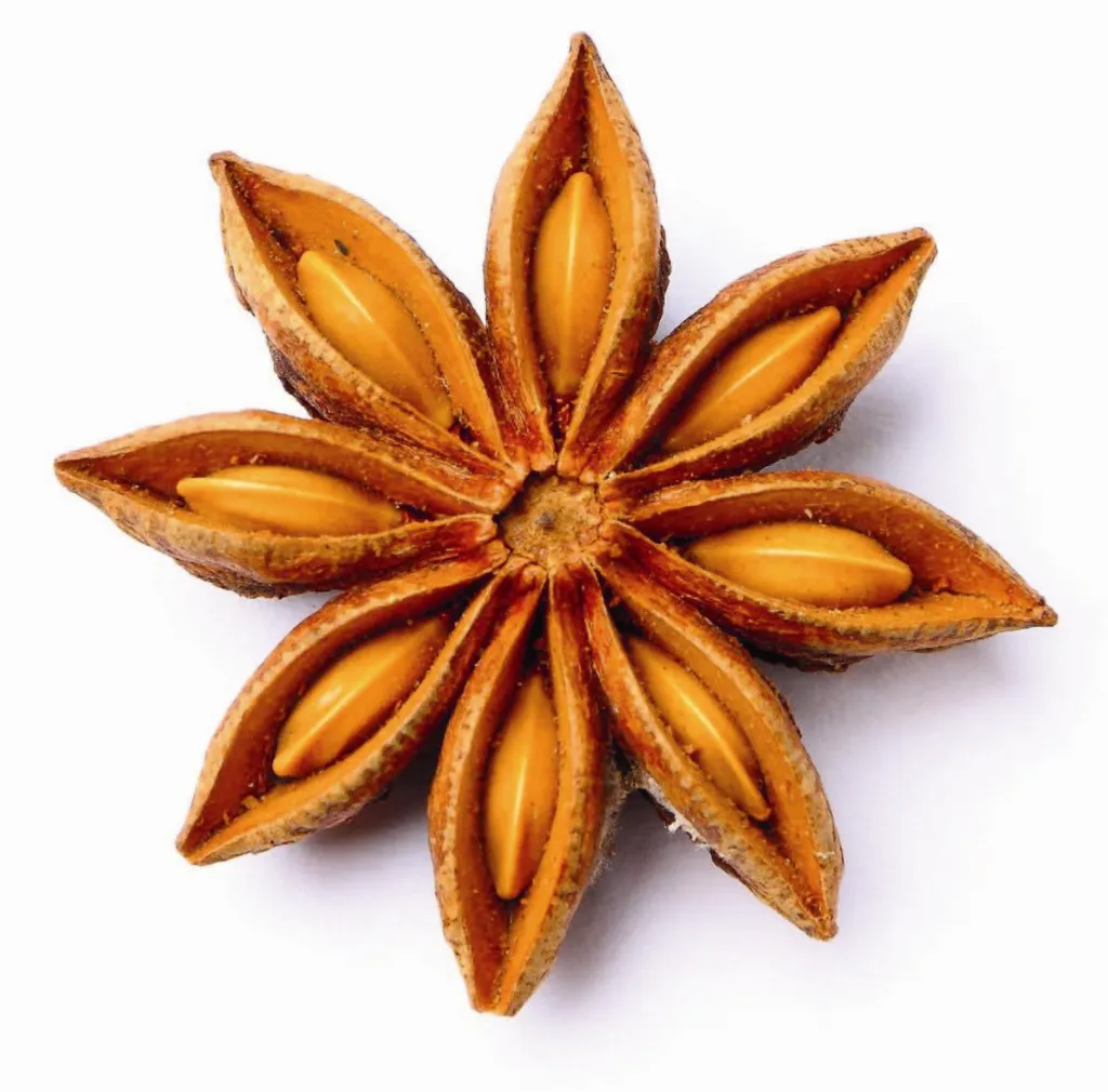 Anise_star_dried_u2canfeelgood.webp