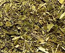 feverfew_organic.webp