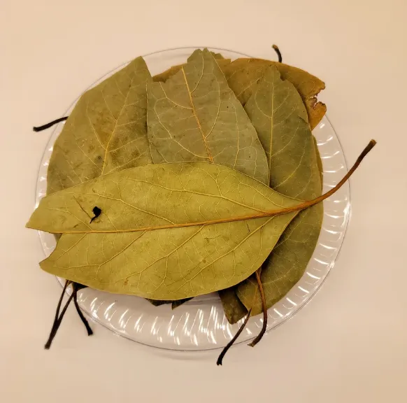 Avocado leaves dried 1 oz