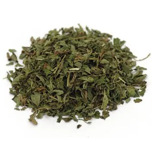 Peppermint leaf c/s