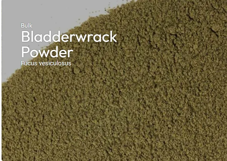 Bladderwrack powder 1 oz