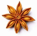 Anis Star (Estrella) organic 1 oz