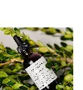 Dandelion Root Tincture, 2oz, Alcohol Free