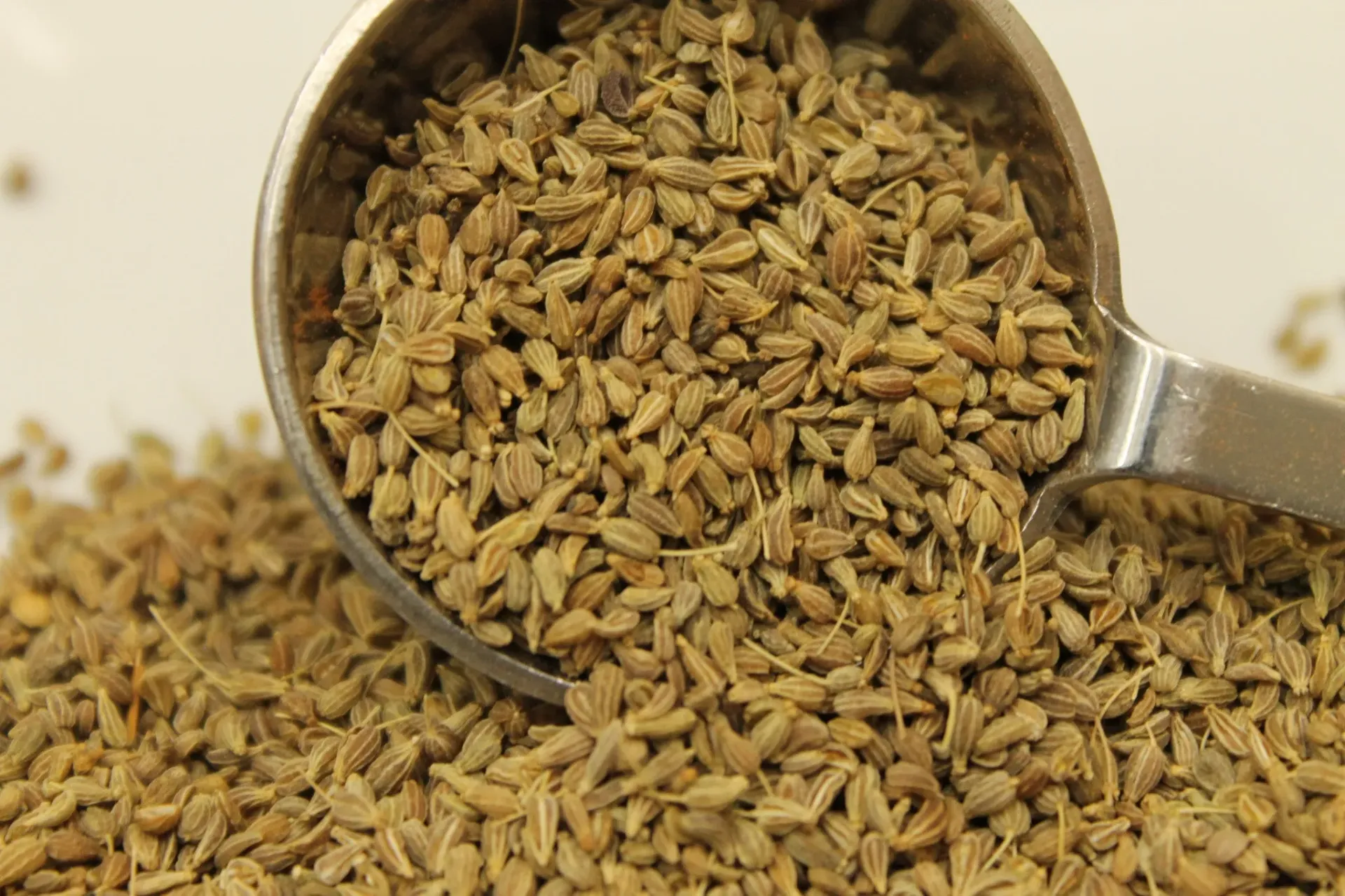 Anise Seeds (Bird's Eye) 1 oz
