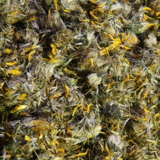 Arnica Flower dried  1 oz