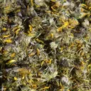 Arnica Flower dried  1 oz