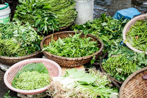 Herbs from U2 Can Feel Good